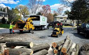 How Our Tree Care Process Works  in  Canyon Creek, WA